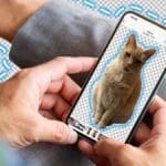 Cara Edit Foto 3x4 di HP Tanpa Aplikasi Praktis tapi Hasilnya Rapi