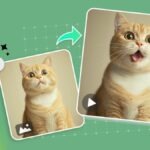 Ingin Edit Foto Jadi Animasi Bergerak? Begini Caranya