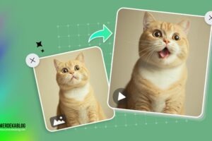Ingin Edit Foto Jadi Animasi Bergerak? Begini Caranya